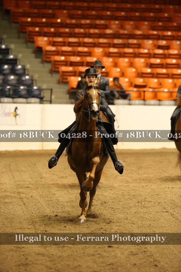 Proof 18BUCK_04228
