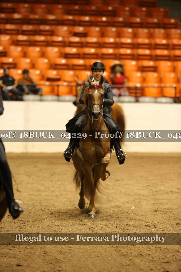 Proof 18BUCK_04229