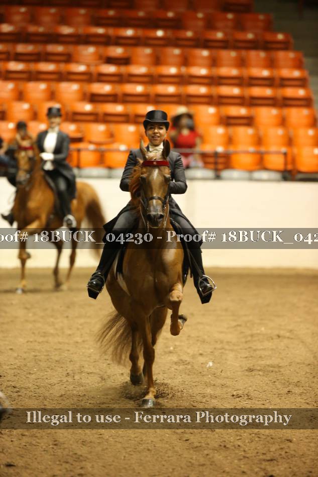 Proof 18BUCK_04230
