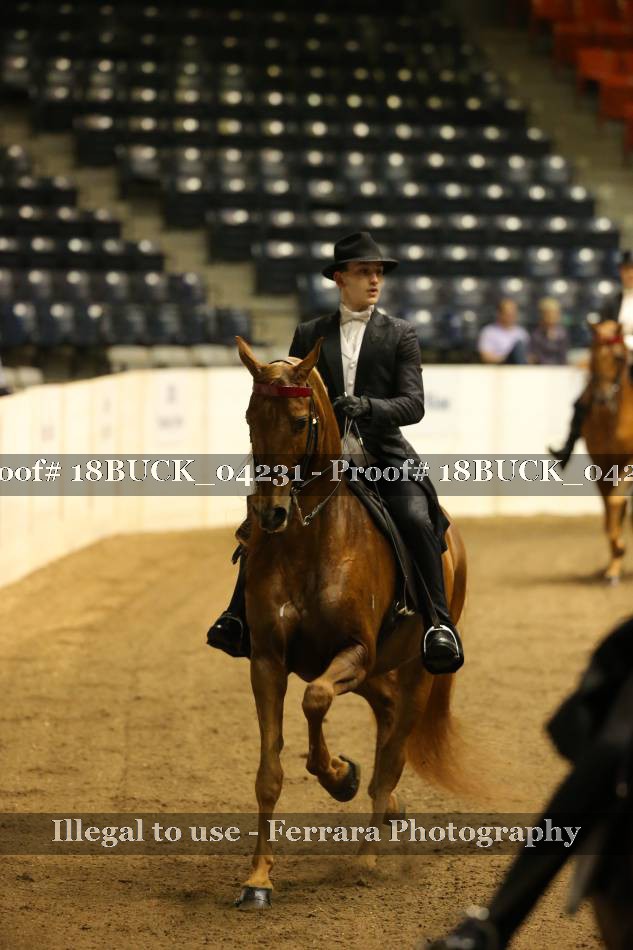 Proof 18BUCK_04231