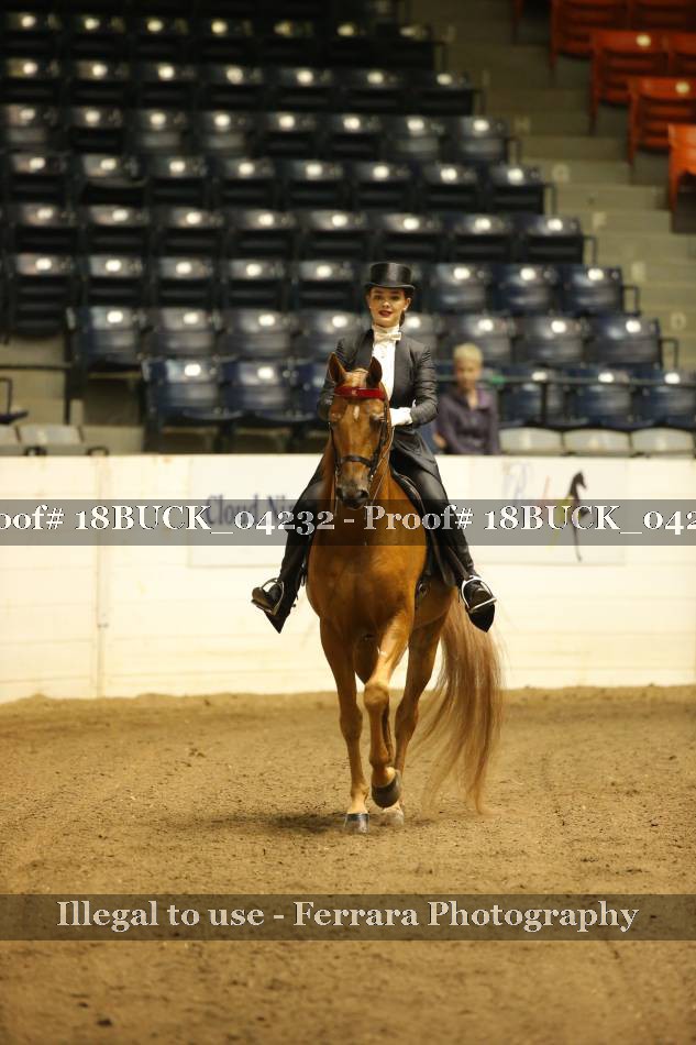 Proof 18BUCK_04232