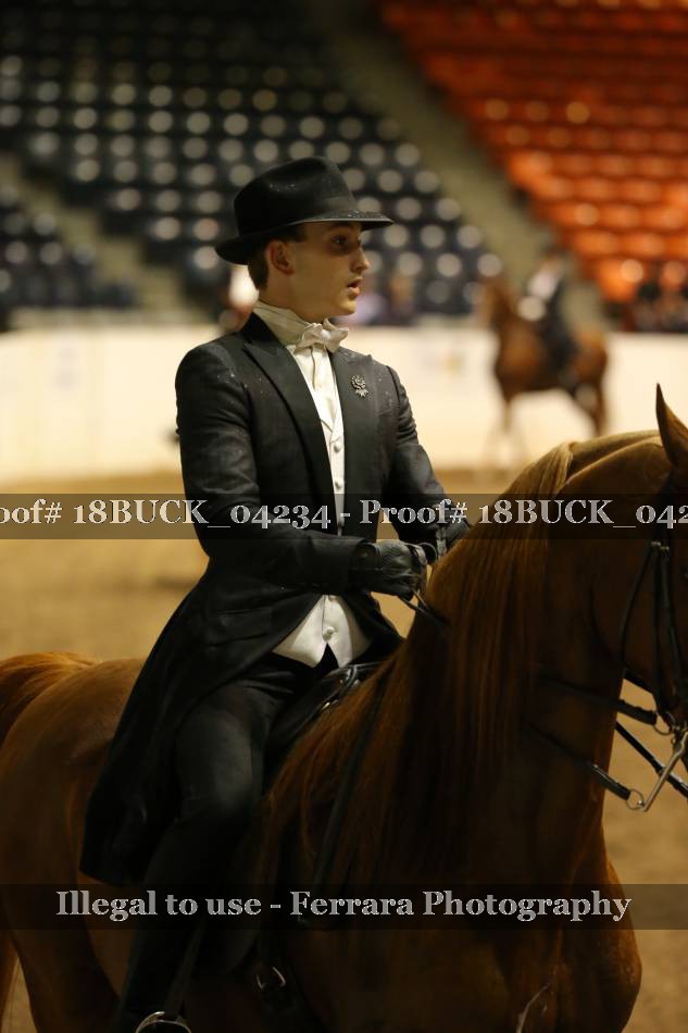 Proof 18BUCK_04234