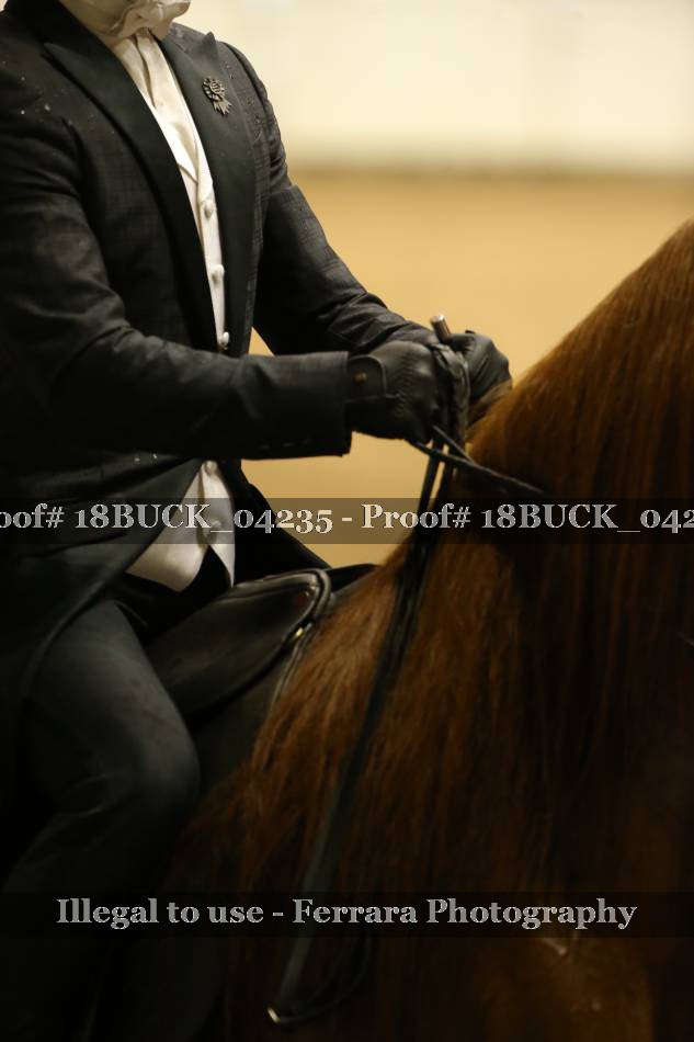Proof 18BUCK_04235