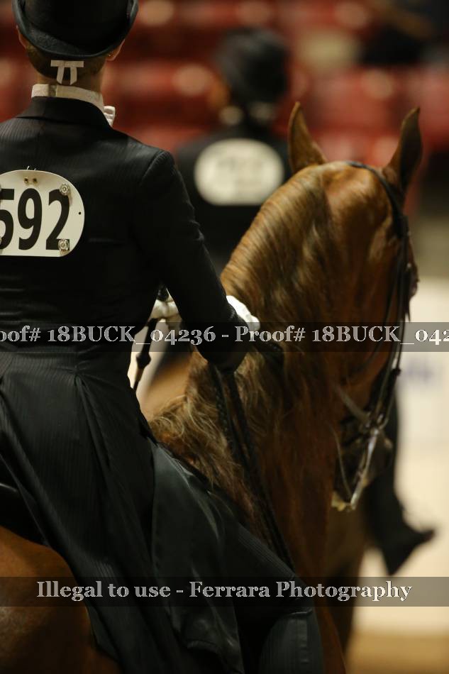Proof 18BUCK_04236