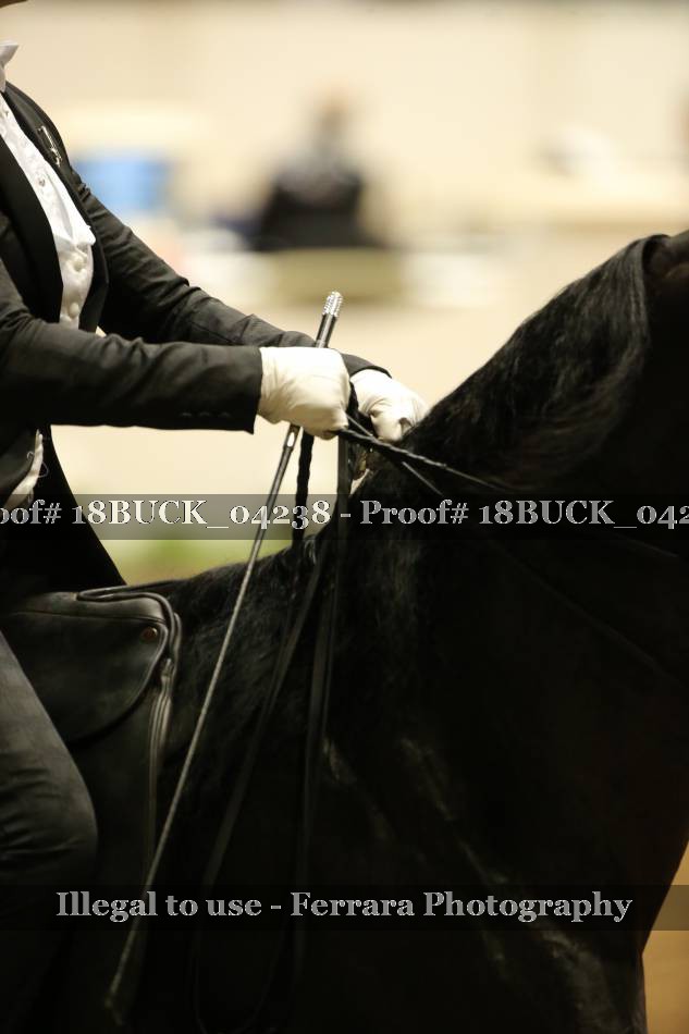 Proof 18BUCK_04238