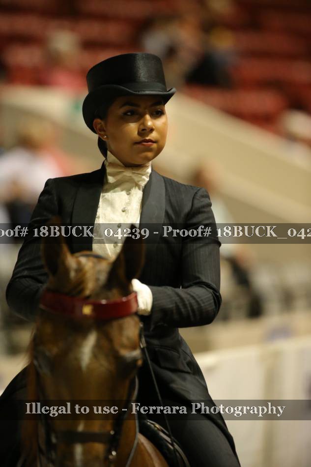 Proof 18BUCK_04239