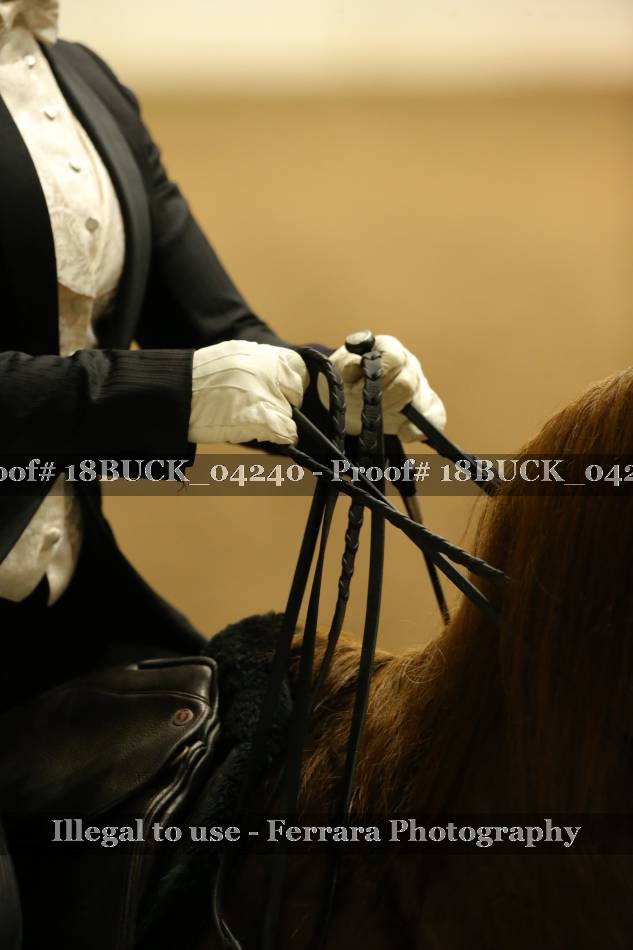 Proof 18BUCK_04240