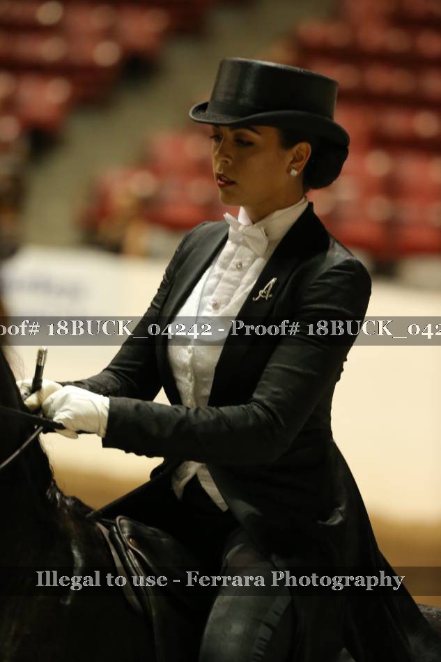 Proof 18BUCK_04242