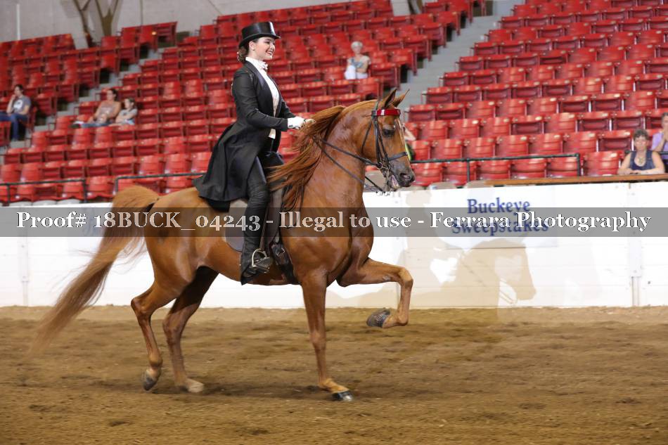 Proof 18BUCK_04243