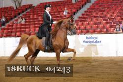 18BUCK_04243 proof