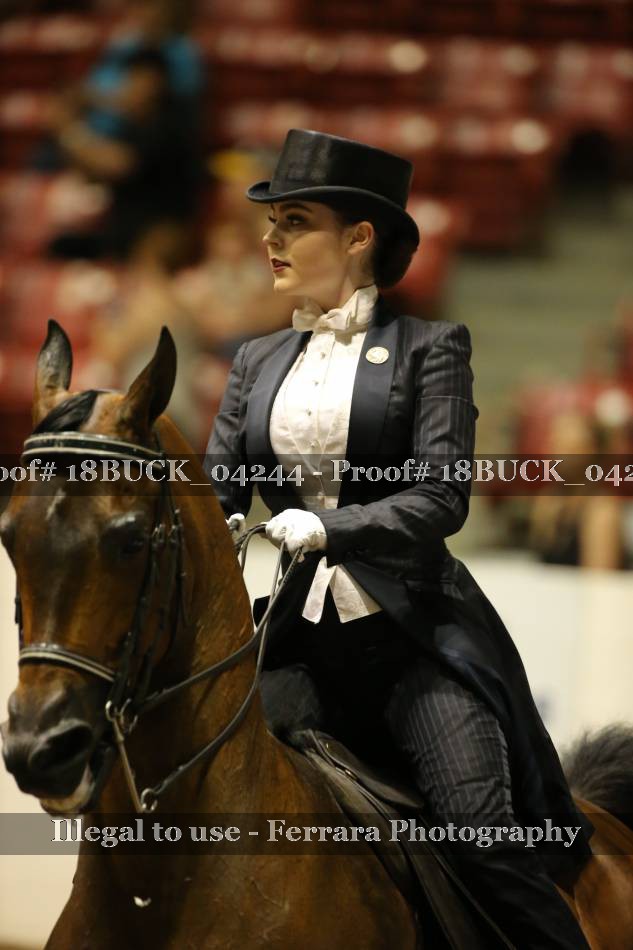 Proof 18BUCK_04244