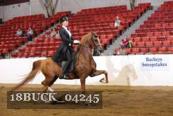 18BUCK_04245 proof