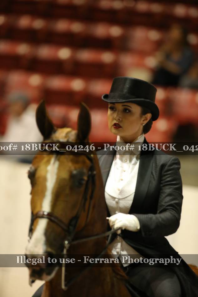 Proof 18BUCK_04246