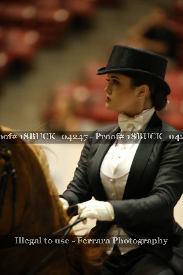 Proof 18BUCK_04247