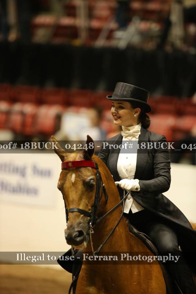 Proof 18BUCK_04248