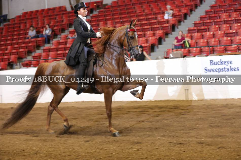 Proof 18BUCK_04249