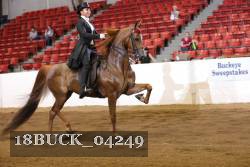 18BUCK_04249 proof