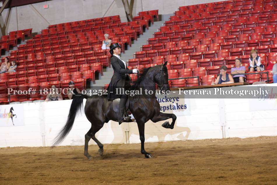 Proof 18BUCK_04252