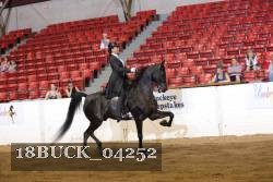 18BUCK_04252 proof