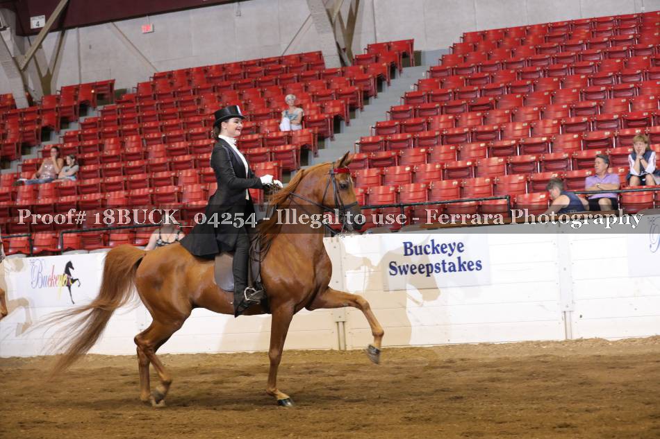 Proof 18BUCK_04254