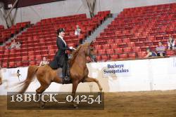 18BUCK_04254 proof