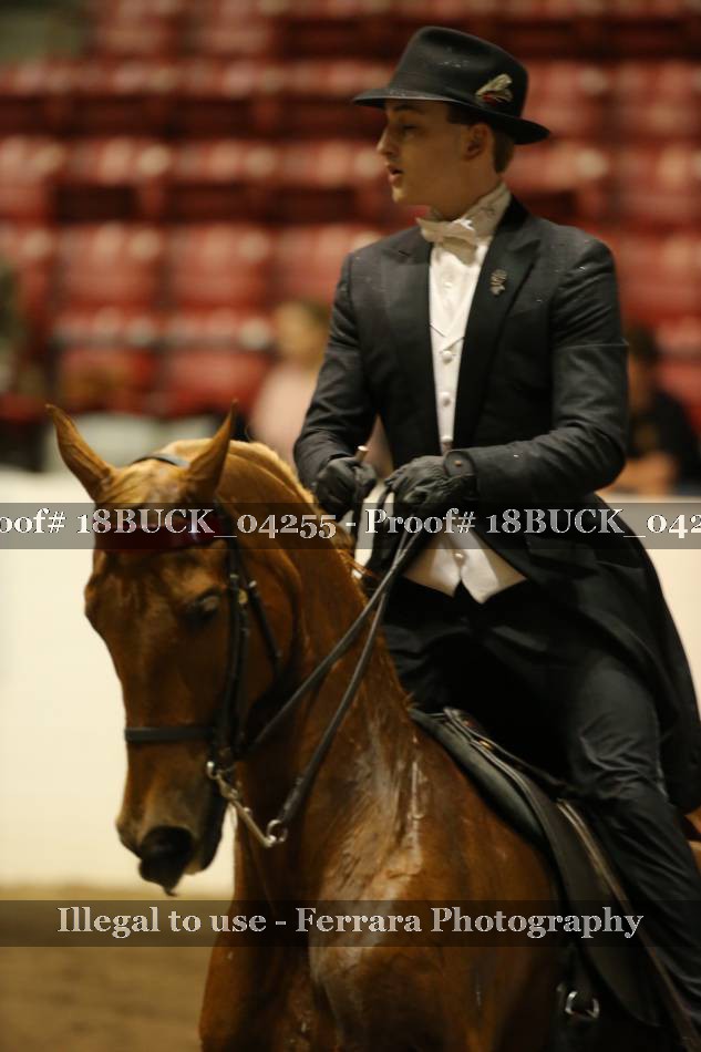 Proof 18BUCK_04255