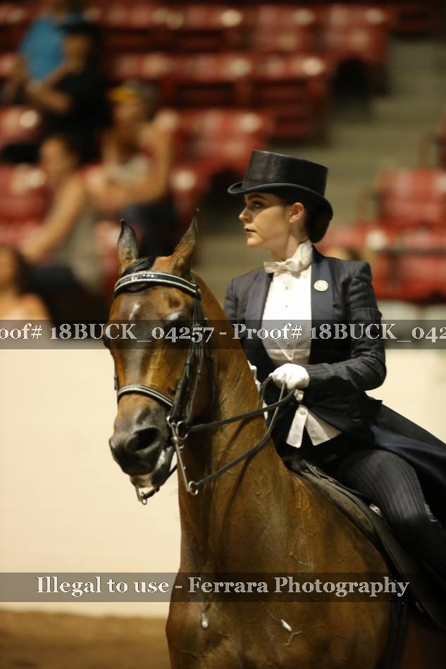 Proof 18BUCK_04257