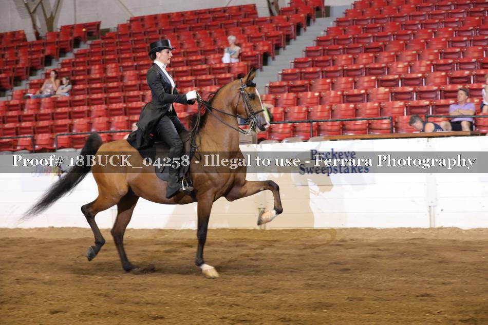 Proof 18BUCK_04258