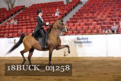 18BUCK_04258 proof