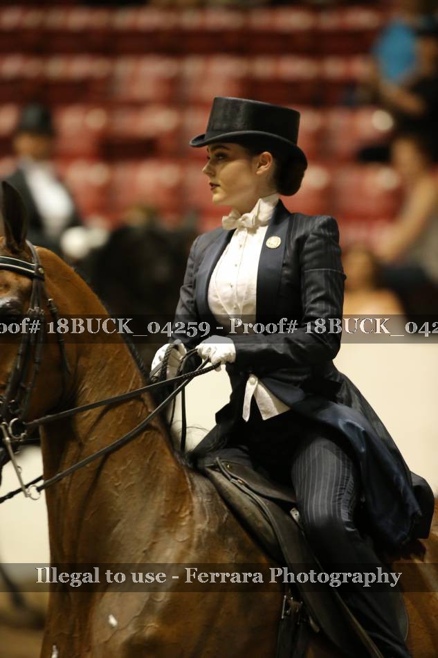 Proof 18BUCK_04259