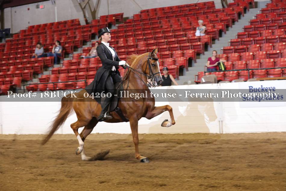 Proof 18BUCK_04260
