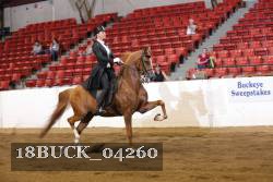 18BUCK_04260 proof