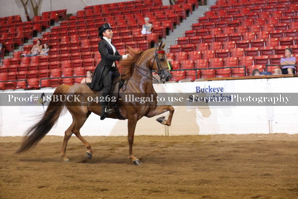 Proof 18BUCK_04262