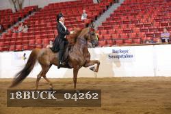 18BUCK_04262 proof