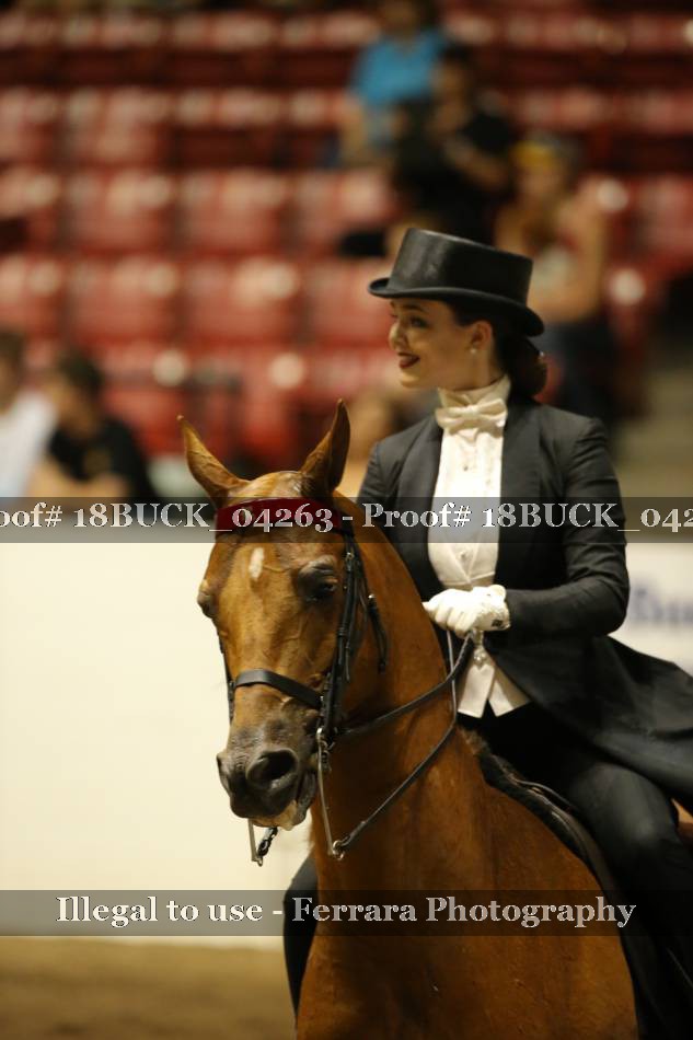 Proof 18BUCK_04263