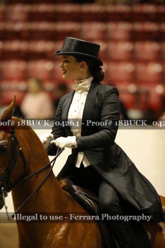Proof 18BUCK_04264
