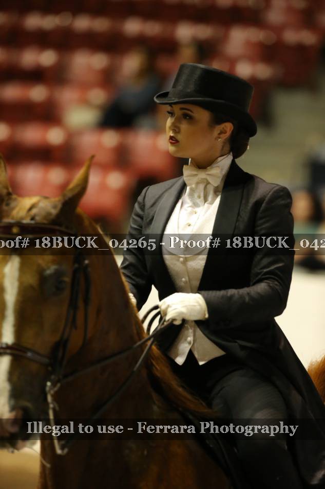Proof 18BUCK_04265