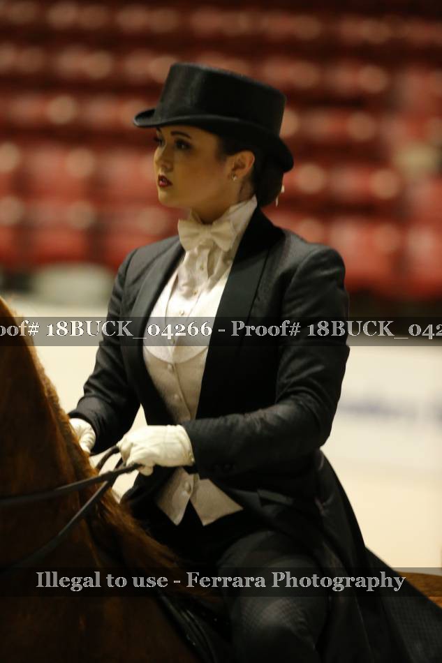 Proof 18BUCK_04266