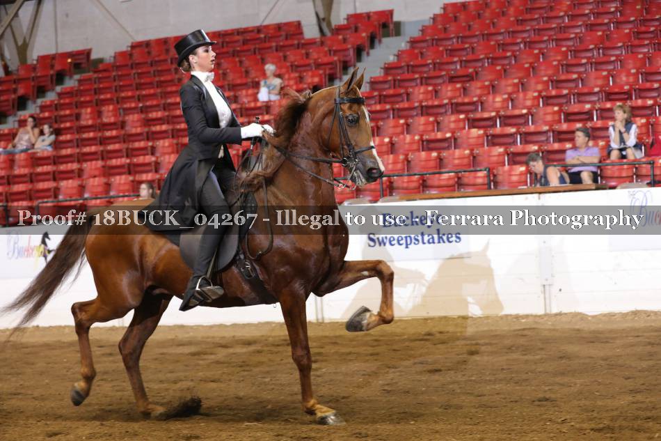 Proof 18BUCK_04267