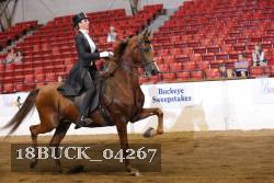 18BUCK_04267 proof