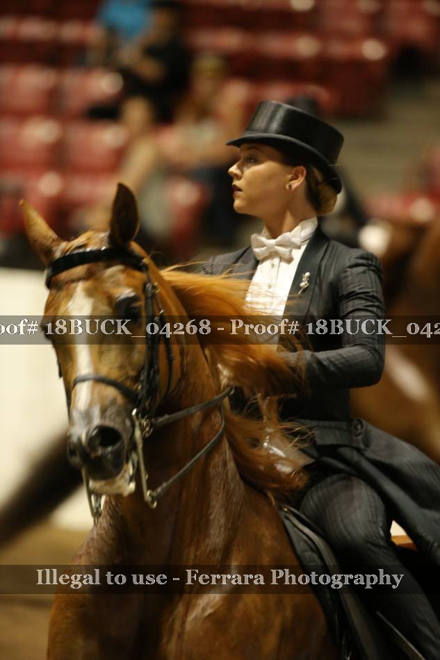 Proof 18BUCK_04268