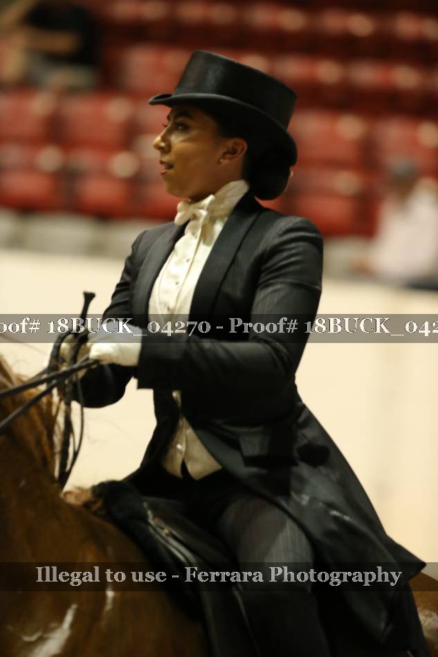 Proof 18BUCK_04270