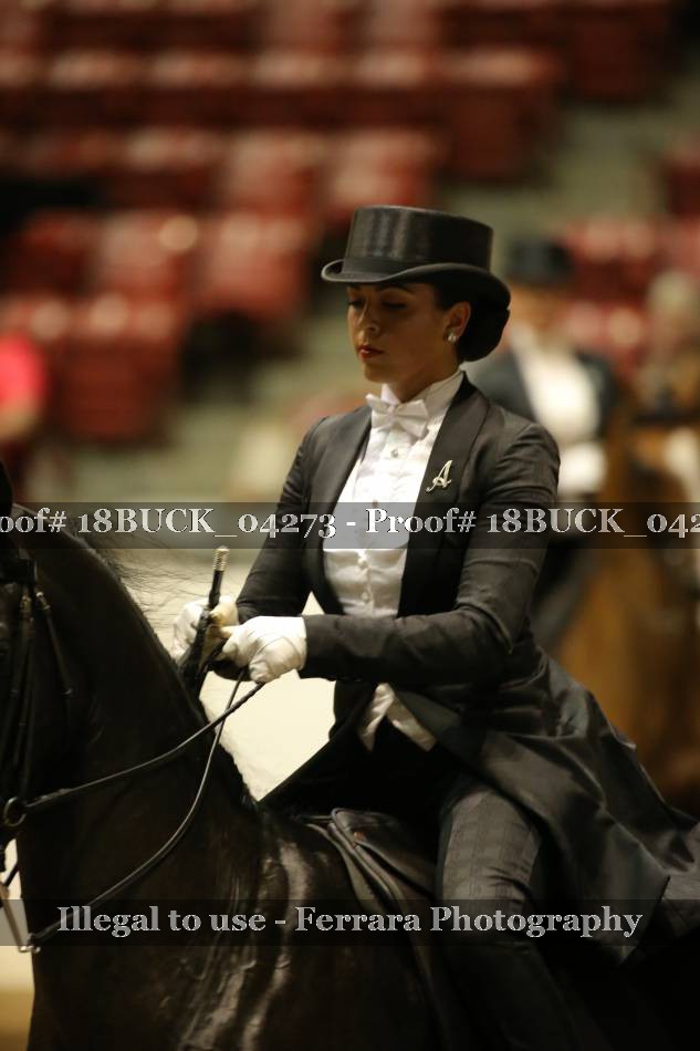 Proof 18BUCK_04273