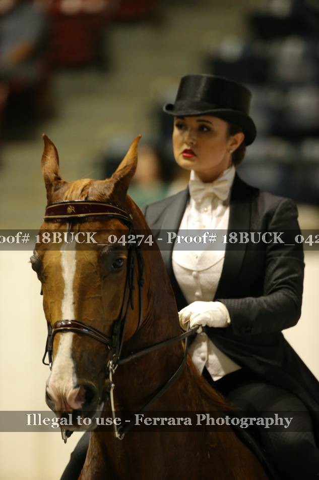 Proof 18BUCK_04274