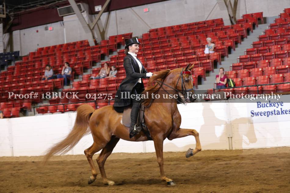 Proof 18BUCK_04275