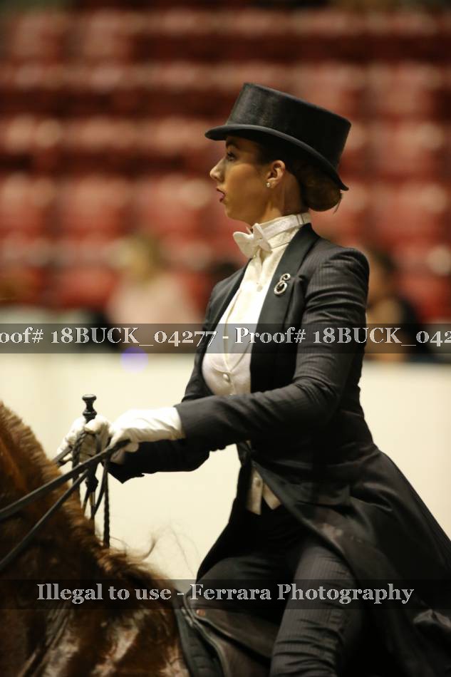 Proof 18BUCK_04277
