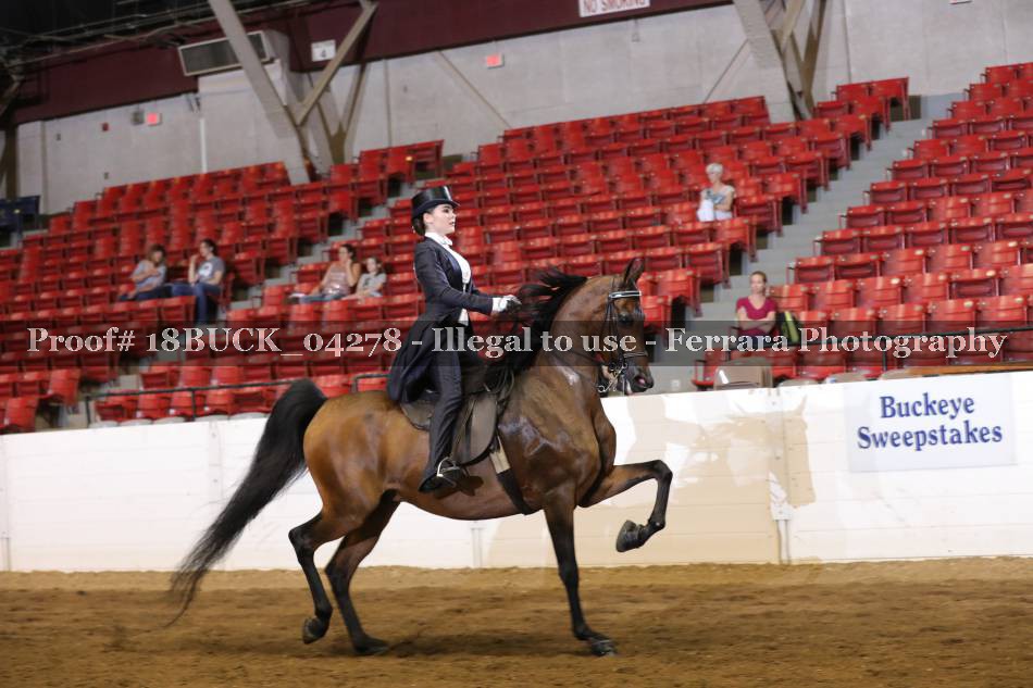 Proof 18BUCK_04278