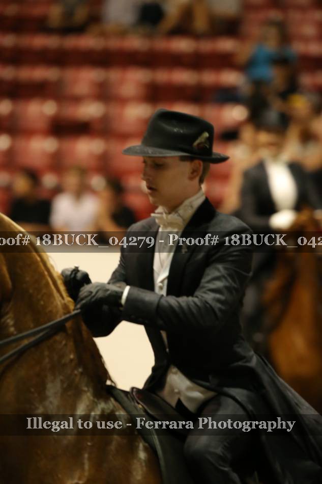 Proof 18BUCK_04279
