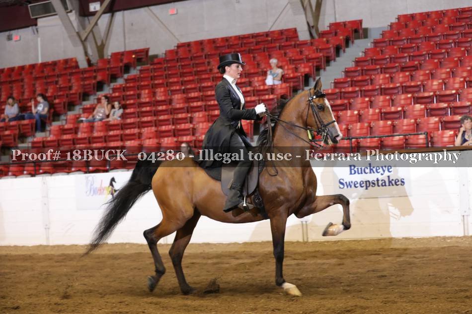 Proof 18BUCK_04280