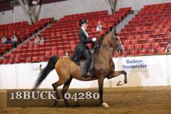 18BUCK_04280 proof